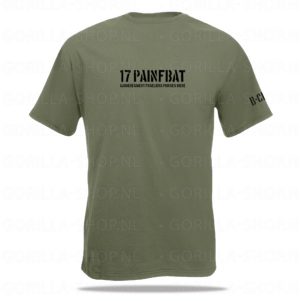17 painfbat kit