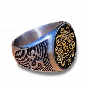 import placeholder for ring model: 45 painfbat